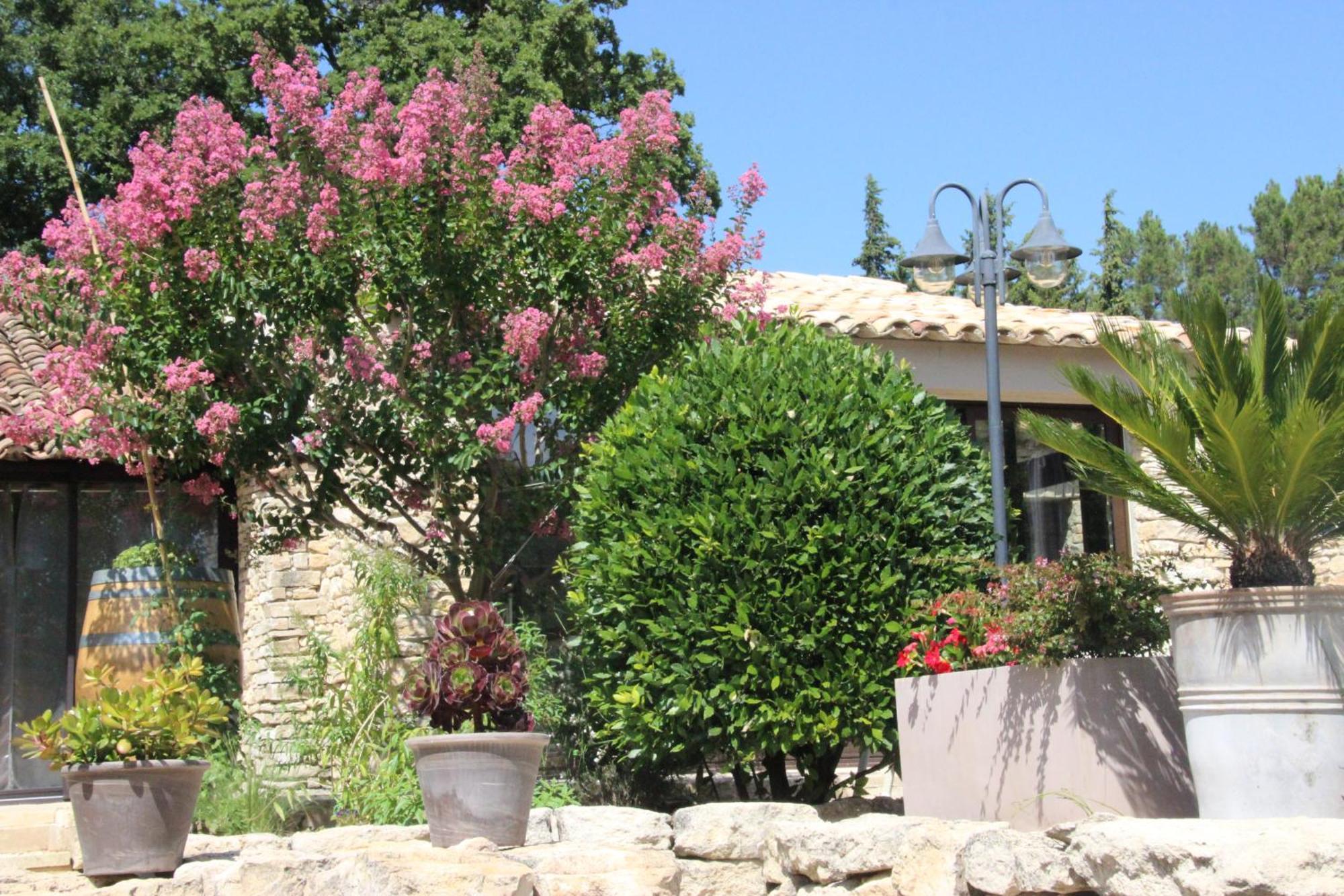 Fleur De Lavande Gordes Buitenkant foto